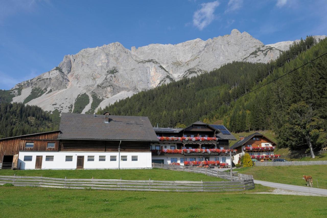 Feichtlehnerhof Bed & Breakfast Ramsau am Dachstein Exterior photo